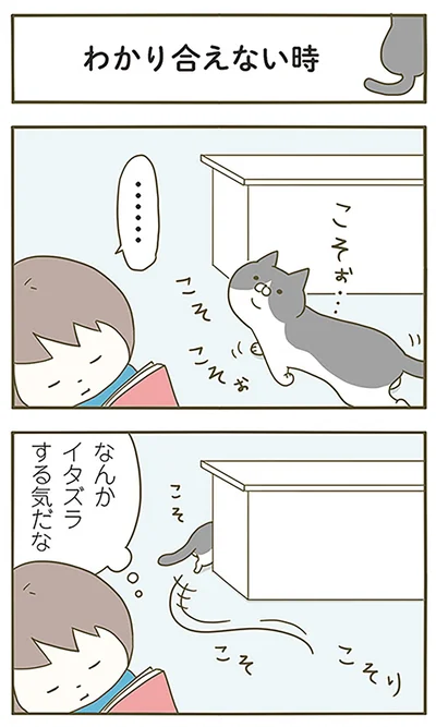 わかり合えない時