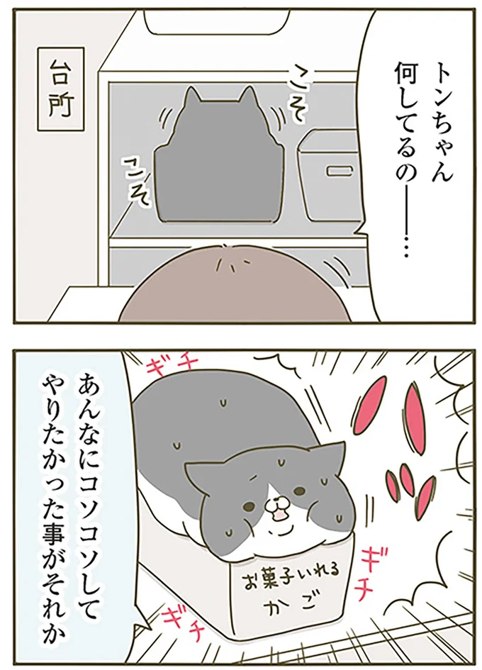 何してるの