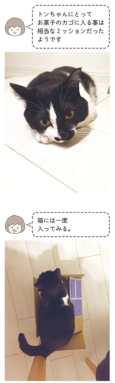 箱には一度入ってみる