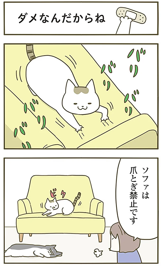ダメなんだからね