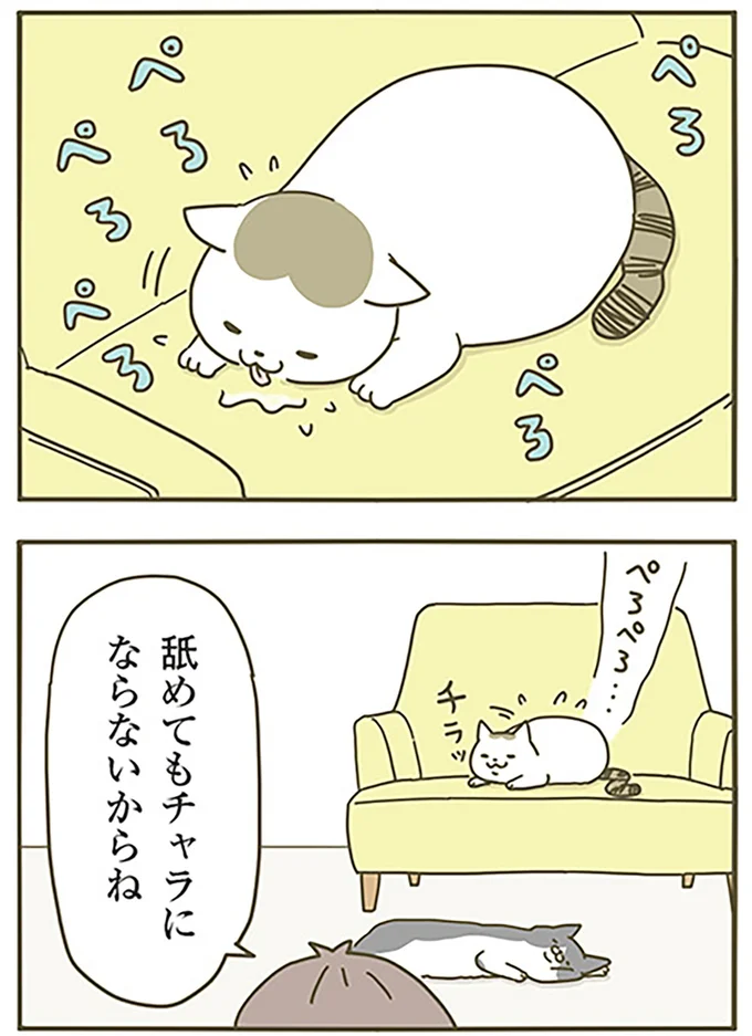 舐めても