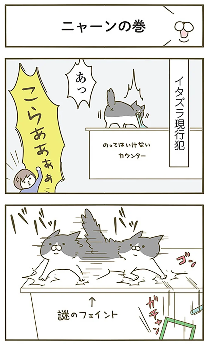 ニャーンの巻