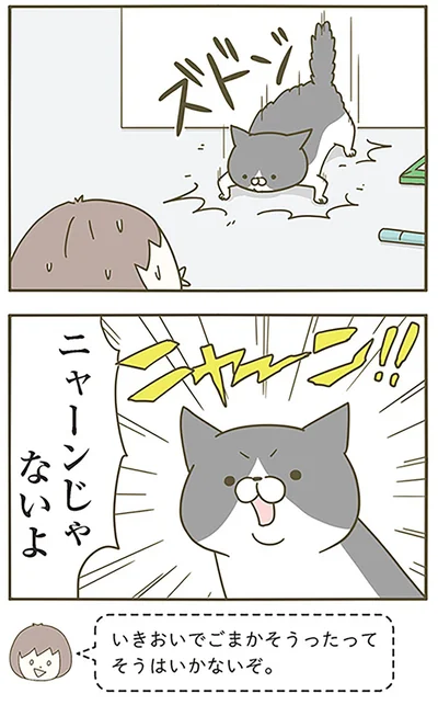 ニャーンじゃないよ