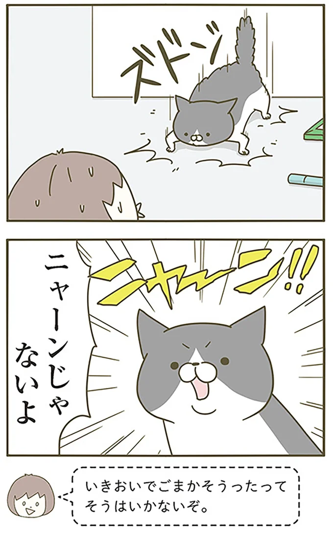 ニャーンじゃないよ
