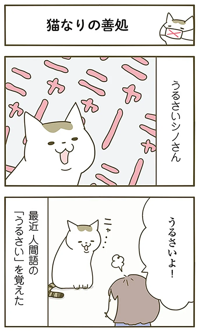 『うちの猫がまた変なことしてる。』より