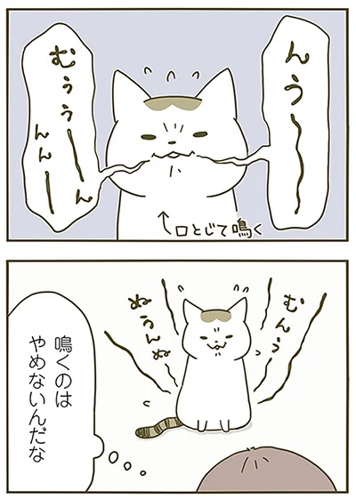 『うちの猫がまた変なことしてる。』より