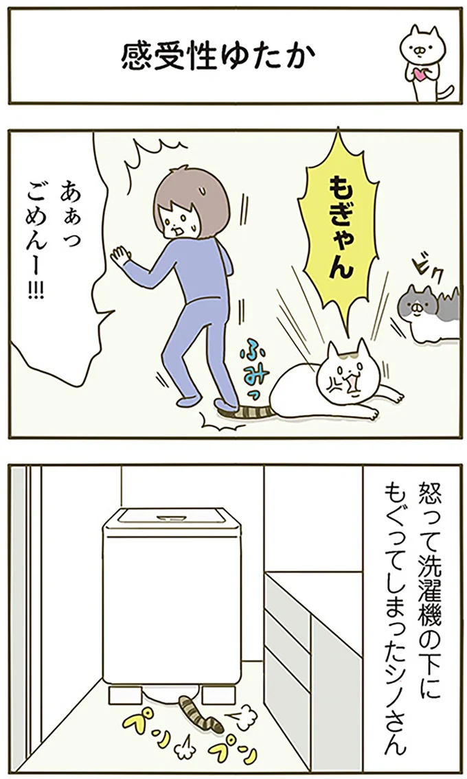 『うちの猫がまた変なことしてる。』より