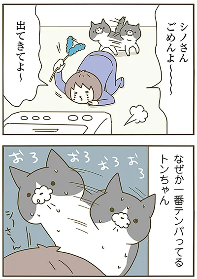『うちの猫がまた変なことしてる。』より