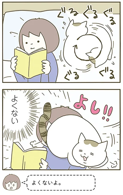 『うちの猫がまた変なことしてる。』より