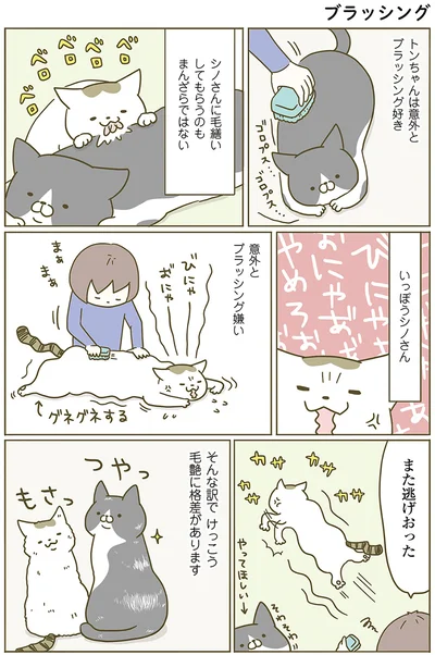 『うちの猫がまた変なことしてる。』より