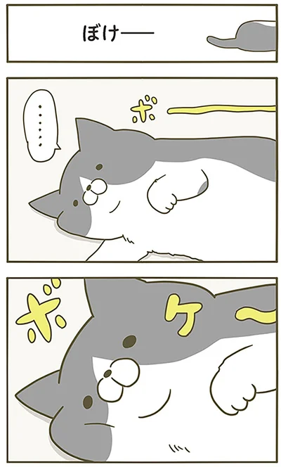 『うちの猫がまた変なことしてる。』より