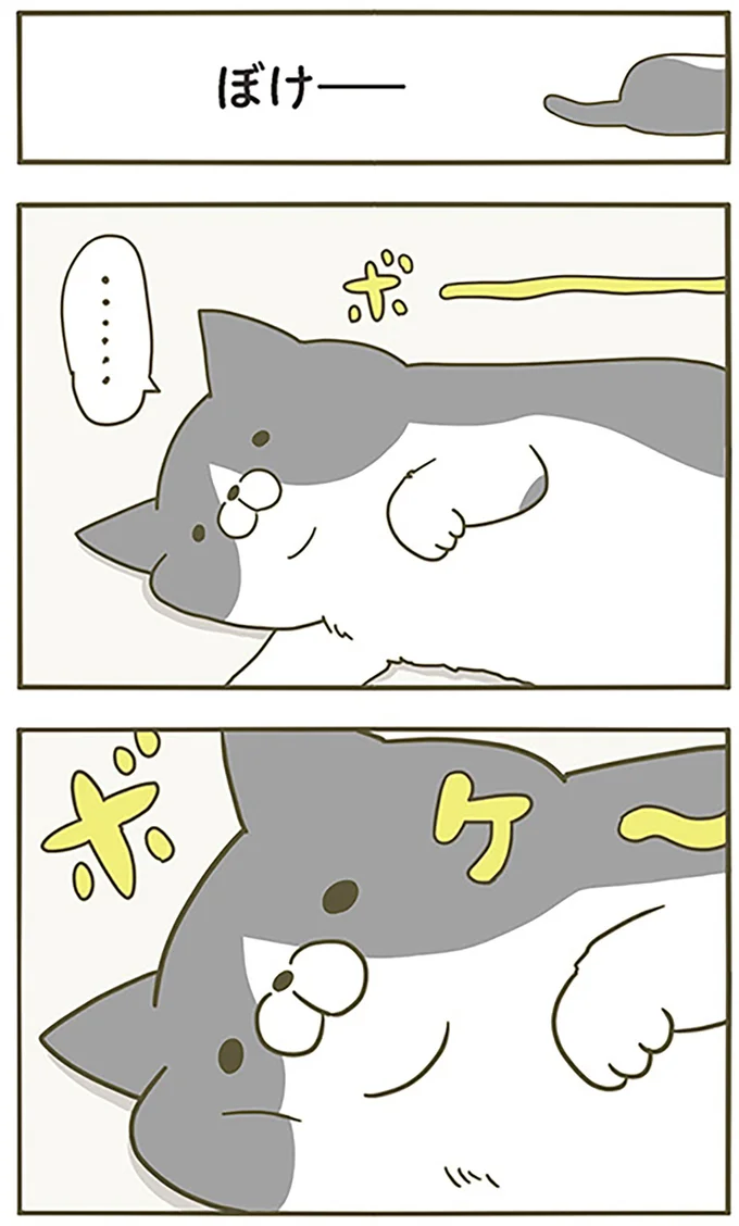 『うちの猫がまた変なことしてる。』より