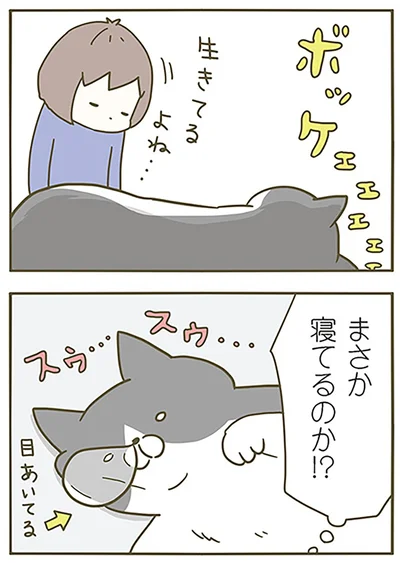 『うちの猫がまた変なことしてる。』より