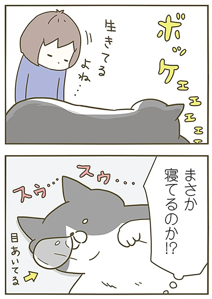 『うちの猫がまた変なことしてる。』より
