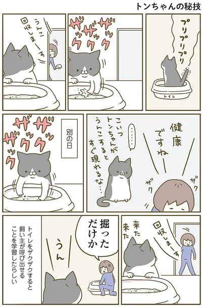 『うちの猫がまた変なことしてる。』より