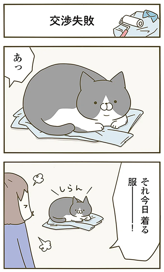 『うちの猫がまた変なことしてる。』より