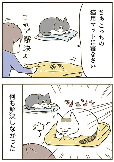 『うちの猫がまた変なことしてる。』より