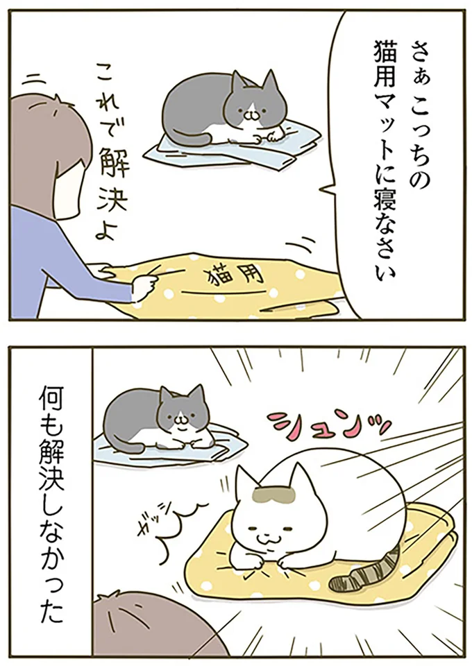 『うちの猫がまた変なことしてる。』より