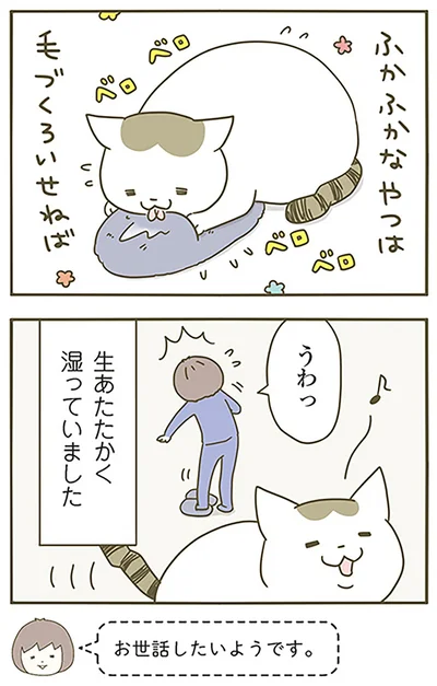 『うちの猫がまた変なことしてる。』より