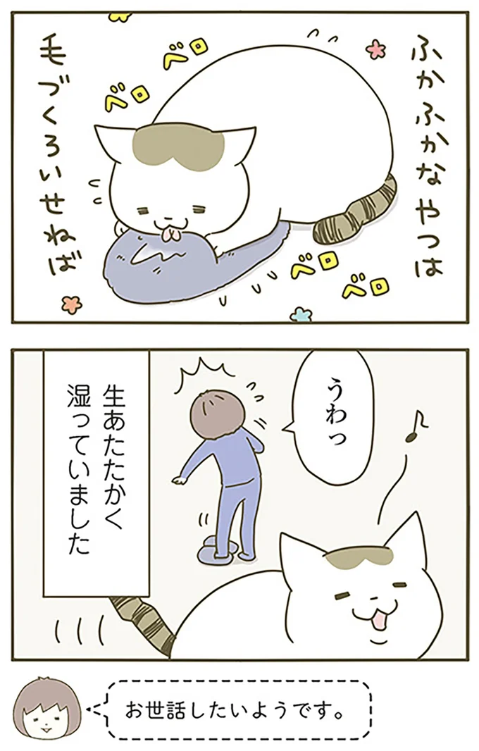 『うちの猫がまた変なことしてる。』より