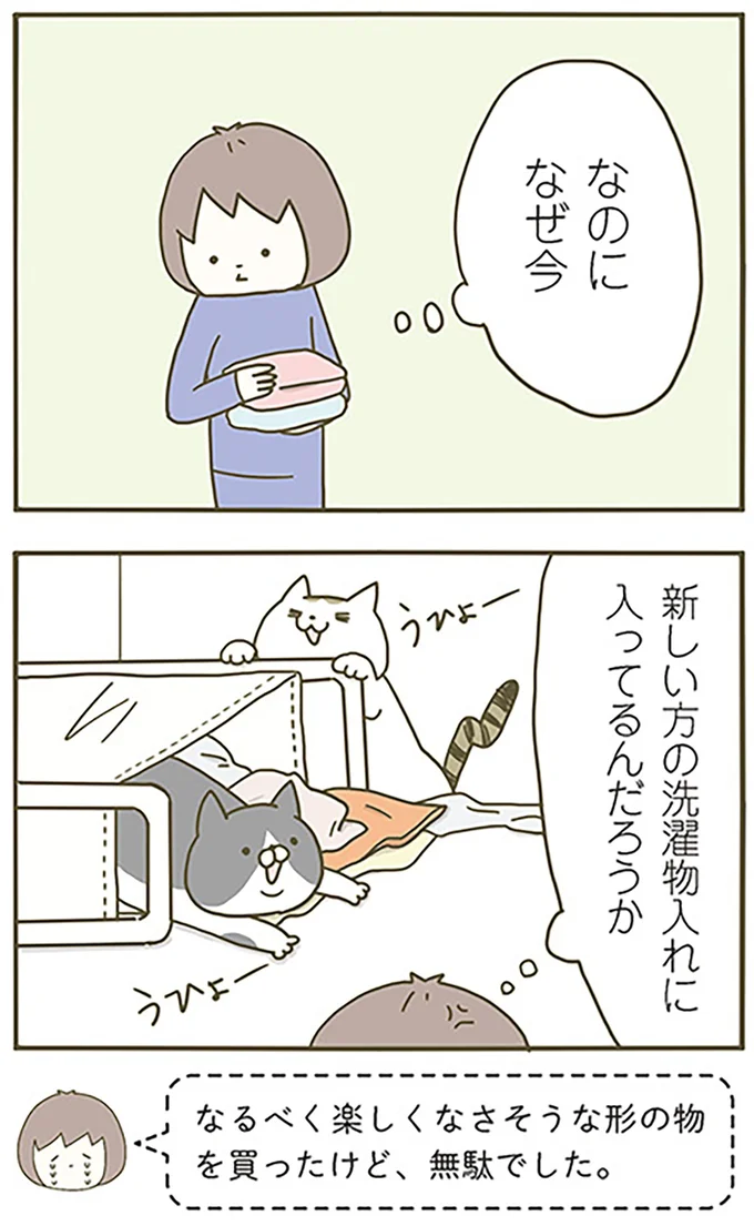 『うちの猫がまた変なことしてる。』より