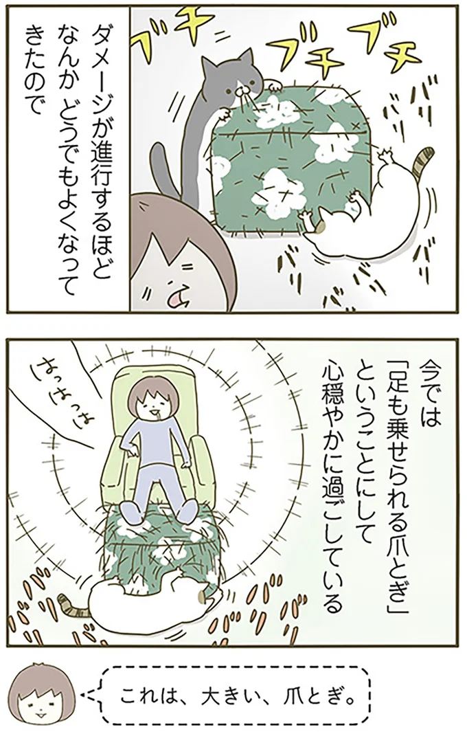 『うちの猫がまた変なことしてる。』より