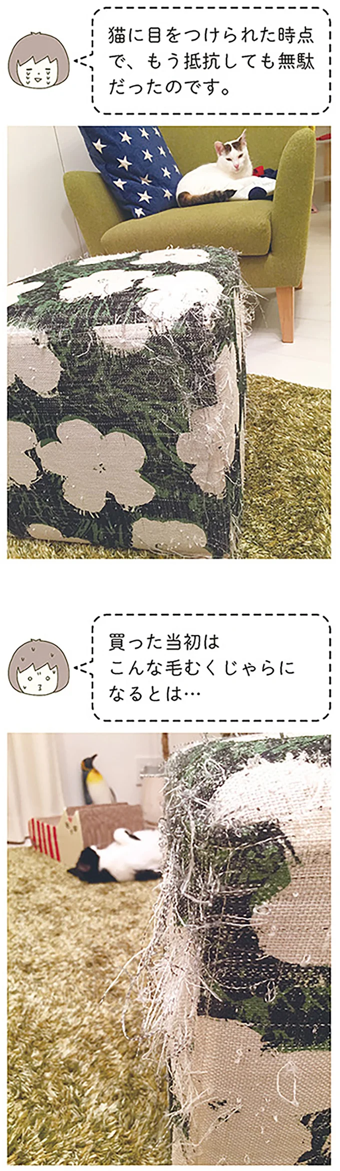 『うちの猫がまた変なことしてる。』より
