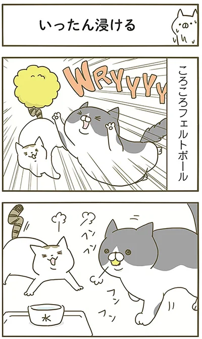 『うちの猫がまた変なことしてる。』より