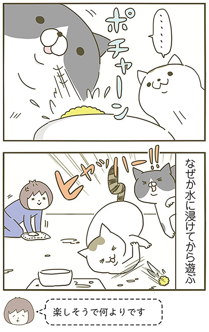 『うちの猫がまた変なことしてる。』より