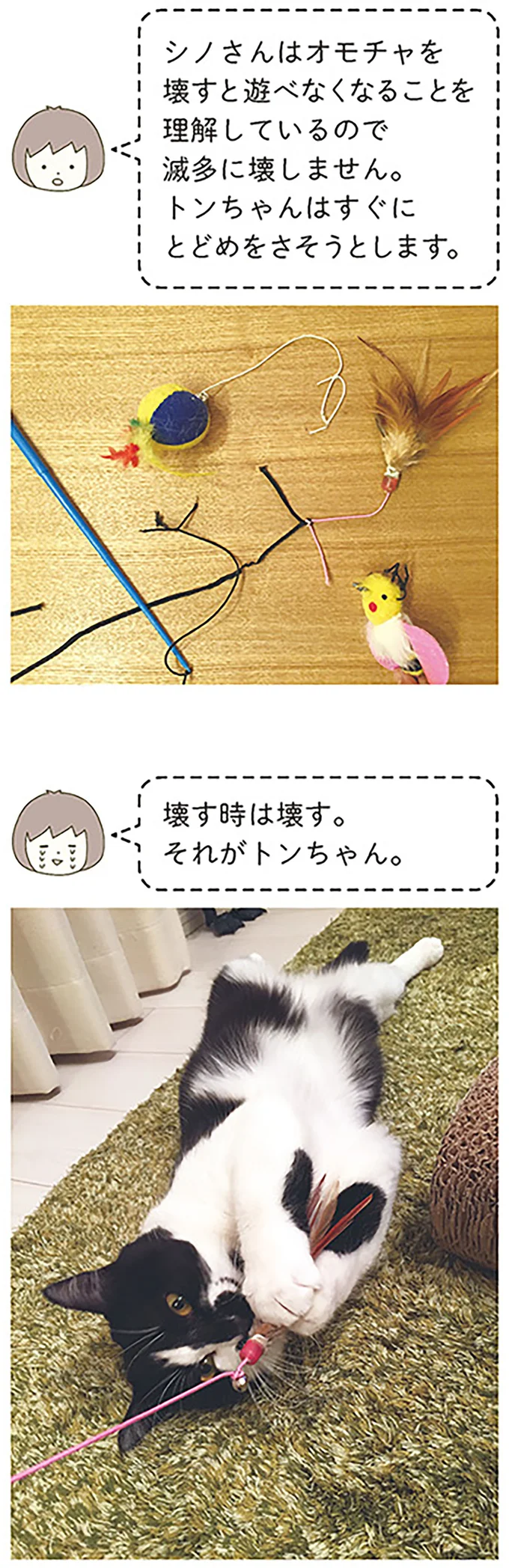『うちの猫がまた変なことしてる。』より