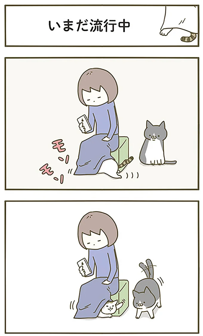 『うちの猫がまた変なことしてる。』より