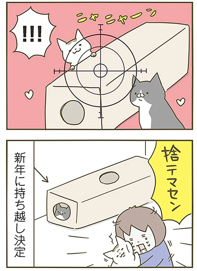 『うちの猫がまた変なことしてる。』より
