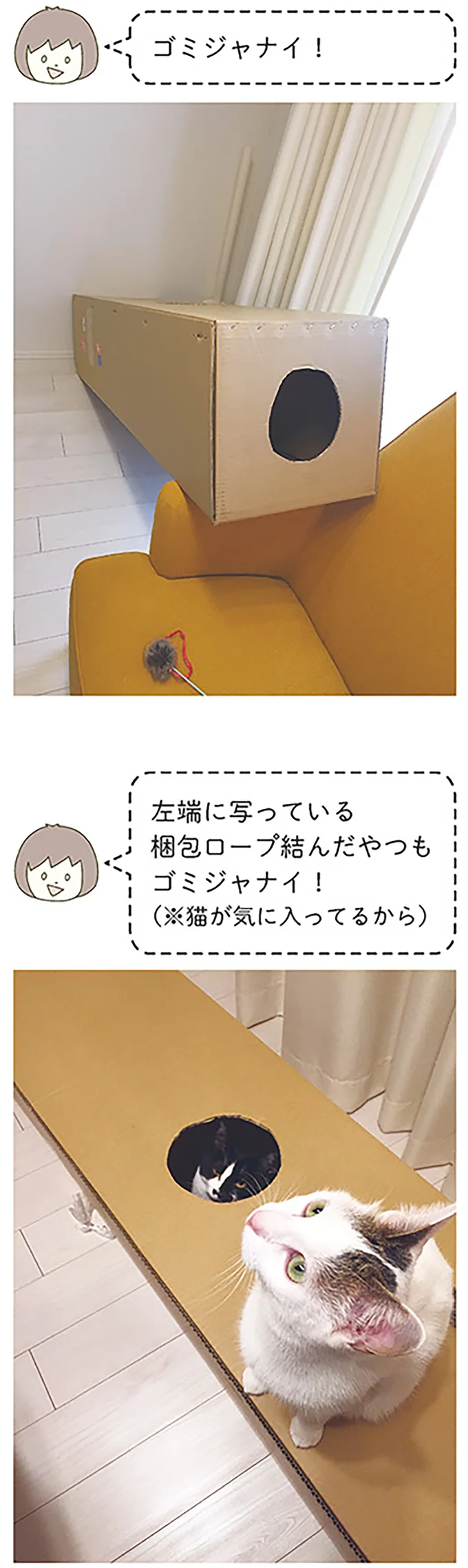 『うちの猫がまた変なことしてる。』より