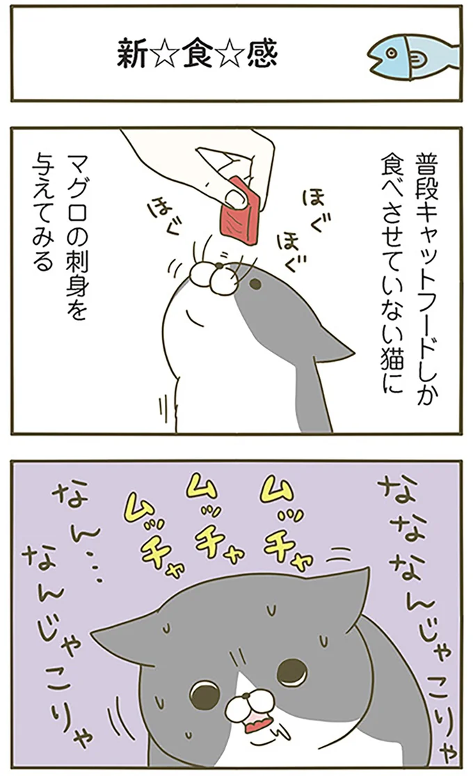 『うちの猫がまた変なことしてる。』より