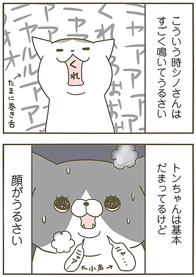 『うちの猫がまた変なことしてる。』より
