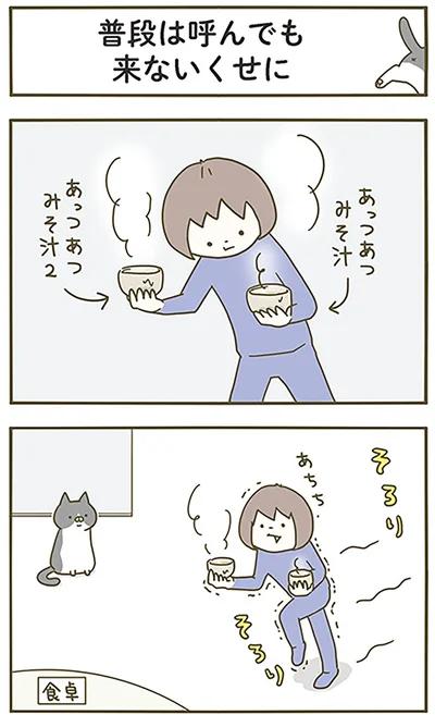 『うちの猫がまた変なことしてる。』より