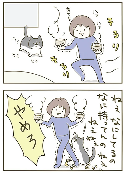 『うちの猫がまた変なことしてる。』より