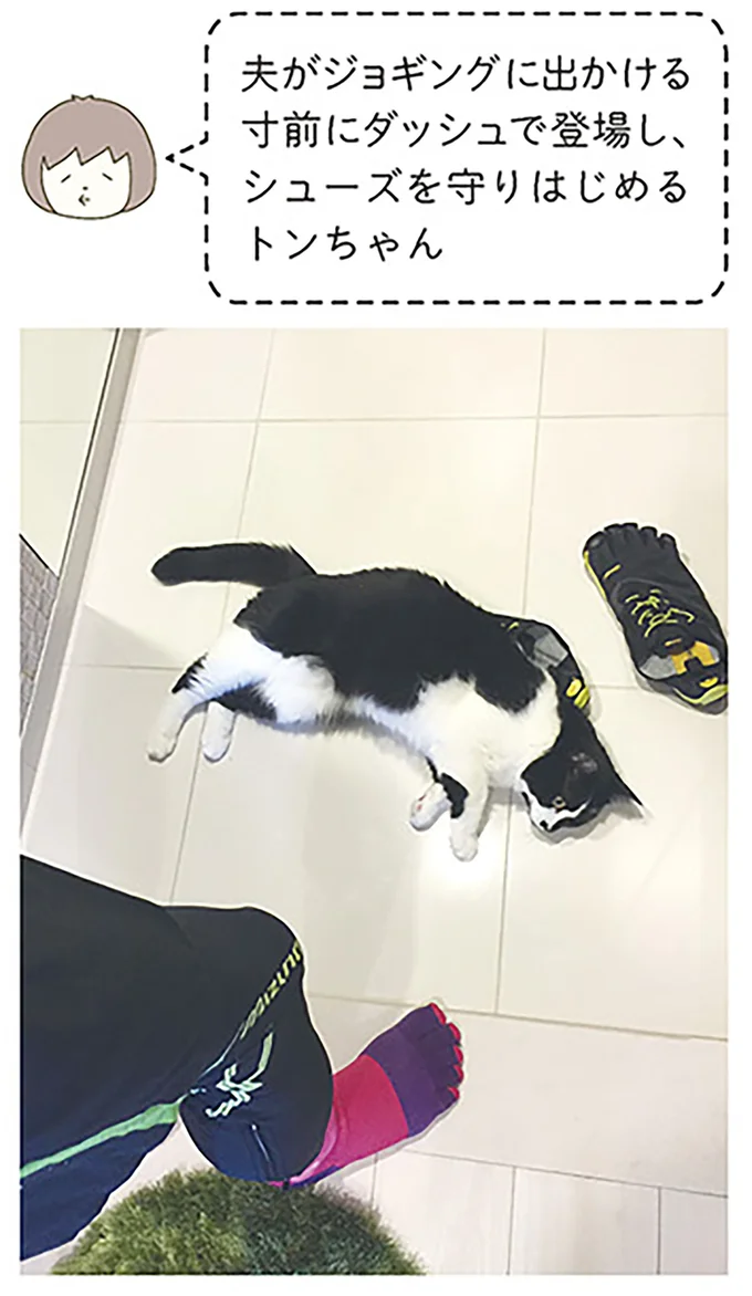 『うちの猫がまた変なことしてる。』より