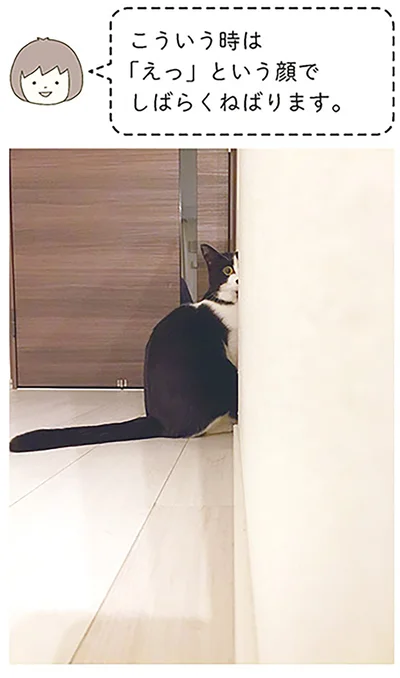 『うちの猫がまた変なことしてる。』より