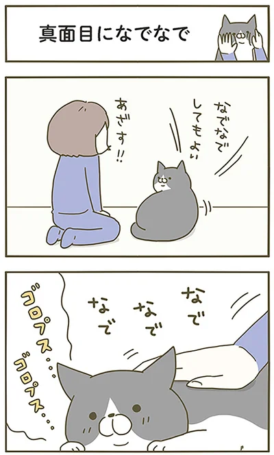 『うちの猫がまた変なことしてる。』より
