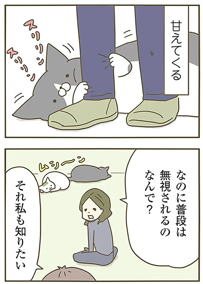 『うちの猫がまた変なことしてる。』より