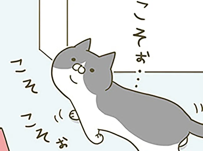 イタズラする気だな？ 飼い主を見上げてコソコソする猫の行方は