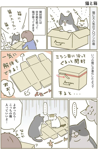 『うちの猫がまた変なことしてる。』より