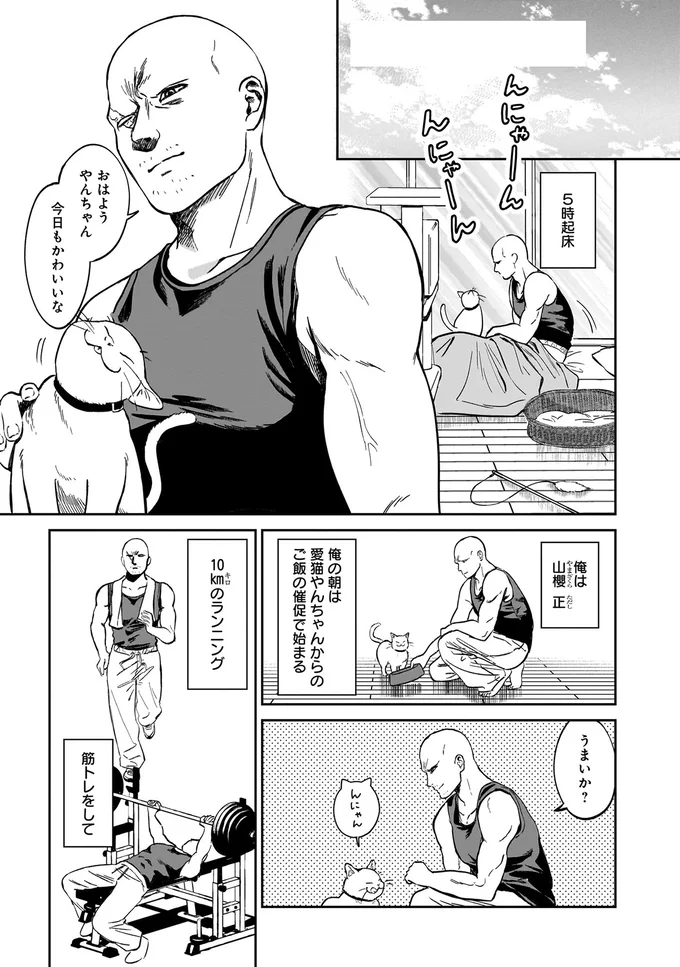 『ファンシー革命3』より