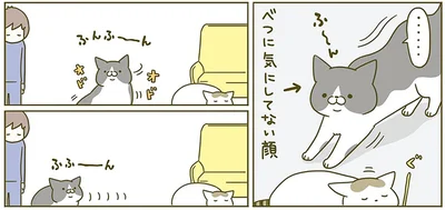 べつに気にしてない顔