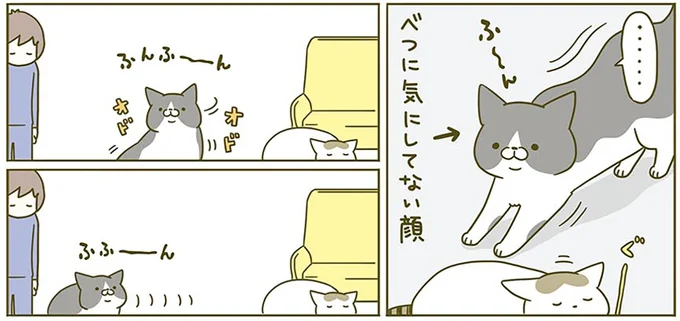 べつに気にしてない顔