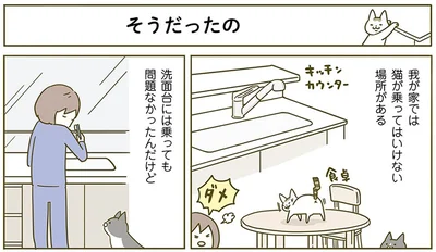 『うちの猫がまた変なことしてる。2』より