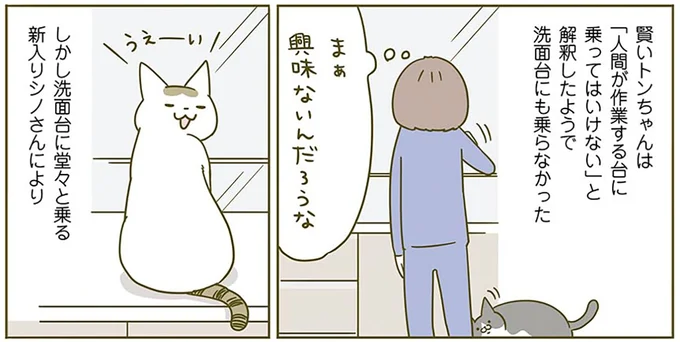 『うちの猫がまた変なことしてる。2』より