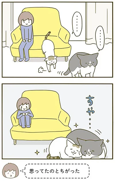 『うちの猫がまた変なことしてる。2』より