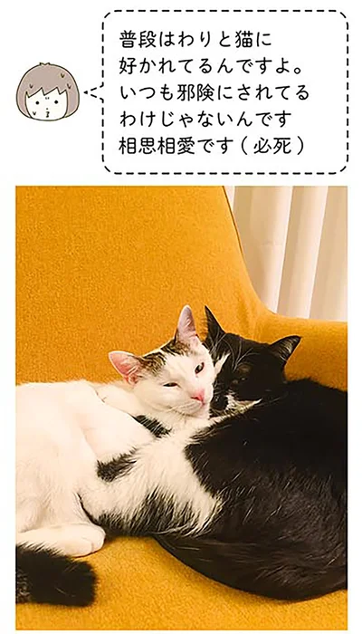 『うちの猫がまた変なことしてる。2』より